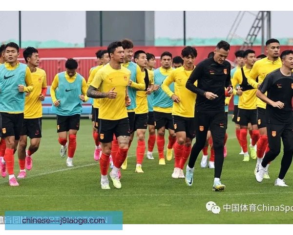国脚级球员赛间训练调整，恢复与专项并重